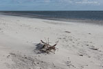 Lichtstimmungen am Meer