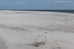 Lichtstimmungen am Meer