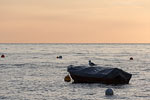 Ostseekste