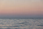 Ostseekste Sonnenaufgang