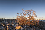 Lichtstimmungen am Meer