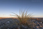 Lichtstimmungen am Meer