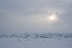 Gefrorene Ostsee