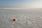 Gefrorene Ostsee