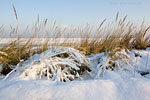 Gefrorene Ostsee