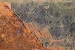Rost