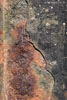 Rost