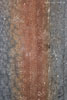 Rost