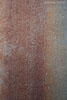 Rost