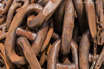 Rost