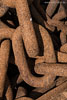 Rost