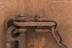 Rost