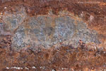 Rost
