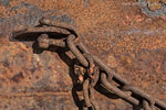 Rost