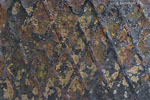 Rost
