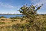 Ostsee-Inseln Norddeutschland
