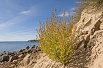 Ostsee-Inseln Norddeutschland