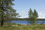 Schweden