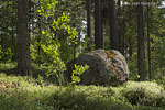 Schweden