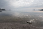 Seenlandschaft