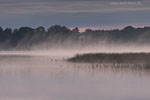 Seenlandschaft