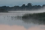 Seenlandschaft