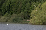 Seenlandschaft