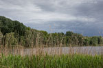 Seenlandschaft