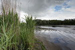 Seenlandschaft