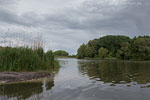 Seenlandschaft