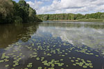 Seenlandschaft