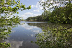 Seenlandschaft