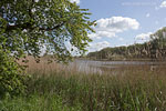Seenlandschaft