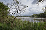Seenlandschaft