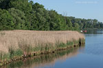 Seenlandschaft