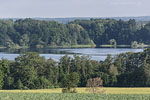 Seenlandschaft