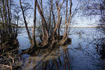 Seenlandschaft