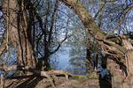 Seenlandschaft