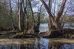 Seenlandschaft
