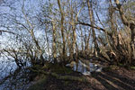 Seenlandschaft
