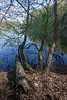 Seenlandschaft