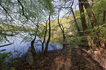 Seenlandschaft