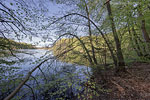 Seenlandschaft