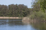 Seenlandschaft