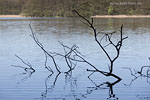 Seenlandschaft