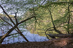 Seenlandschaft