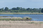Seenlandschaft