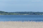 Seenlandschaft