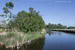 Seenlandschaft
