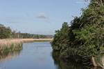 Seenlandschaft